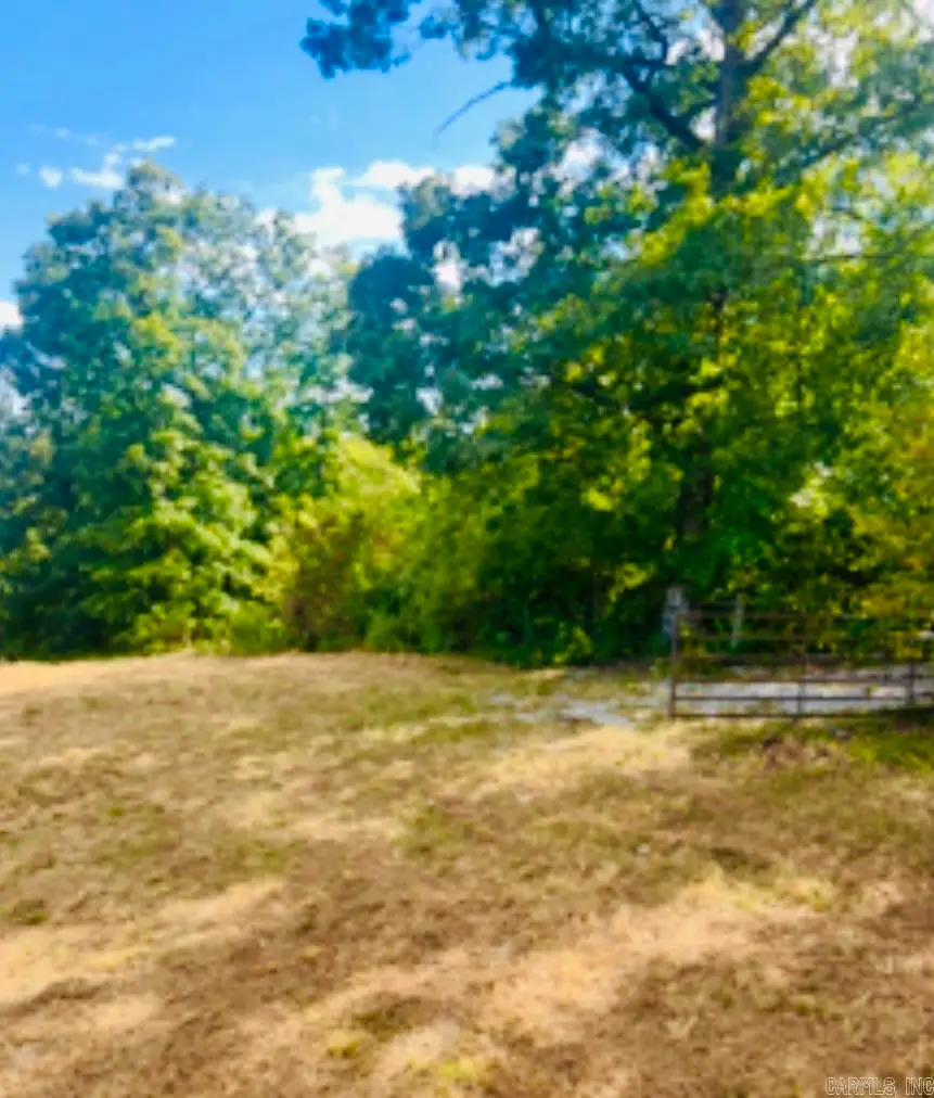 1277 Eagle Point Road, Mountain View, AR 72560 - #3