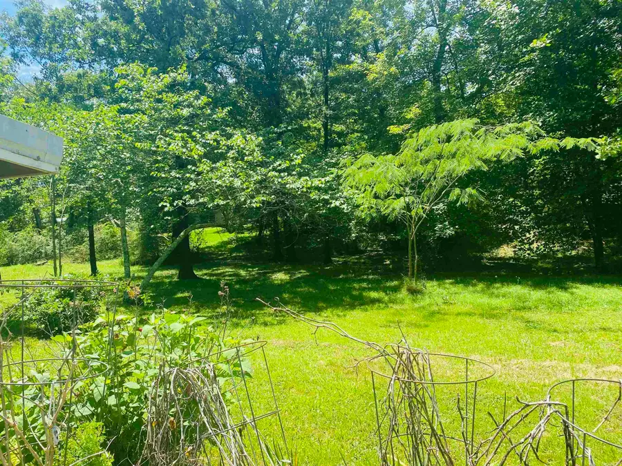 114 Walker Drive, Cove, AR 71937 - #3