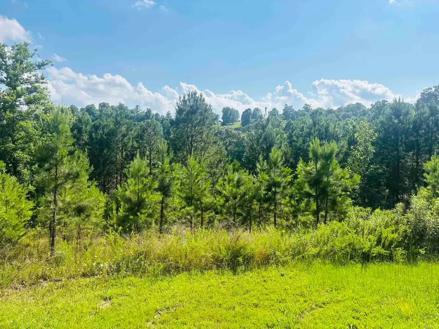 Address Withheld By Seller, Mountain View, AR 72560 - #2