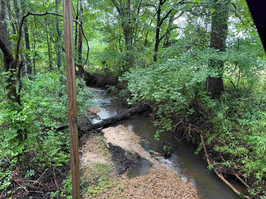 100 Acres Highway 34 West, Beech Grove, AR 72412 - #3