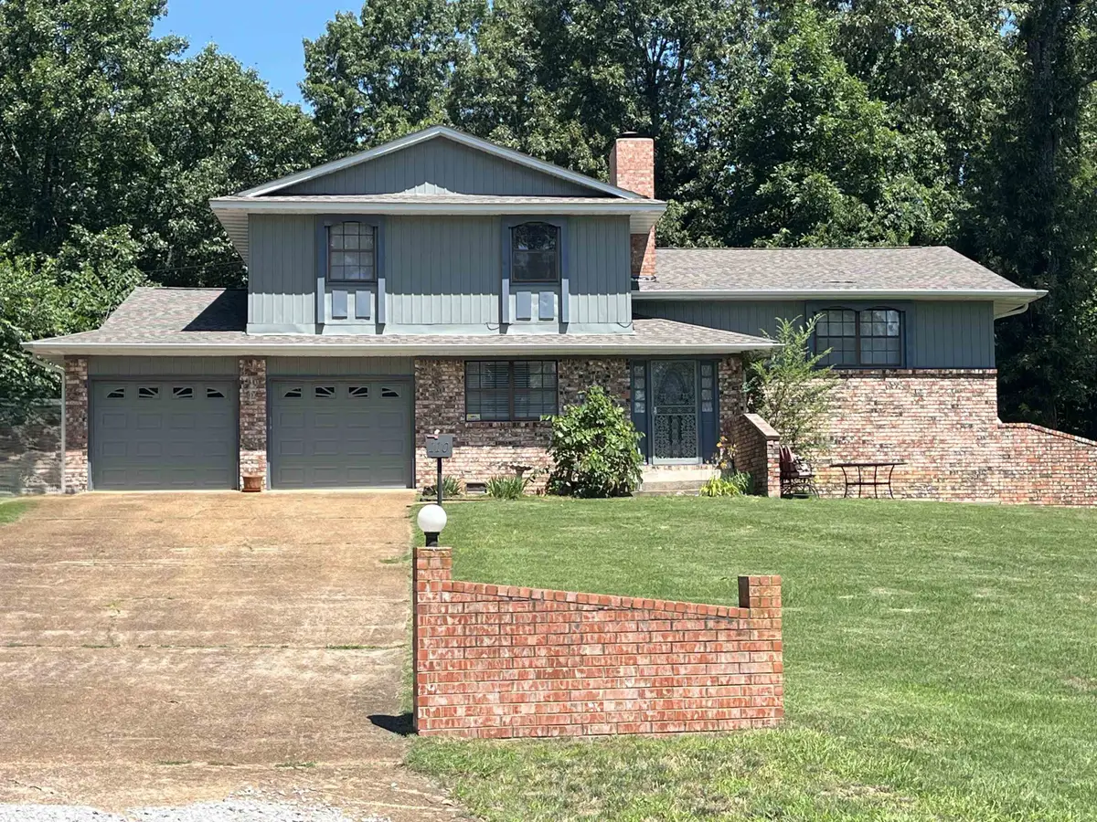 110 Emerald Lane, Horseshoe Bend, AR 72512 - #1