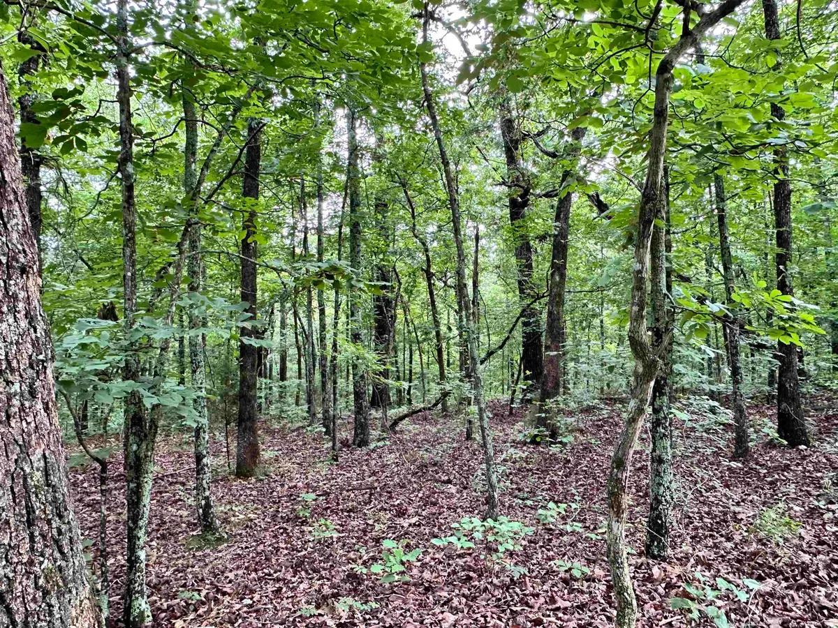 0 Palamino Drive, Williford, AR 72482 - #1