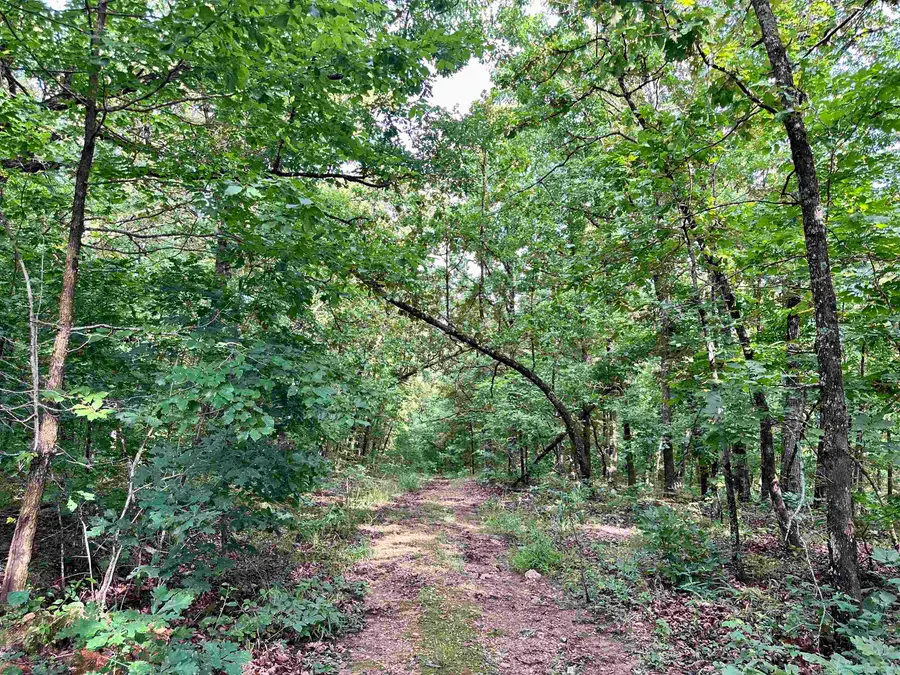 0 Palamino Drive, Williford, AR 72482 - #3