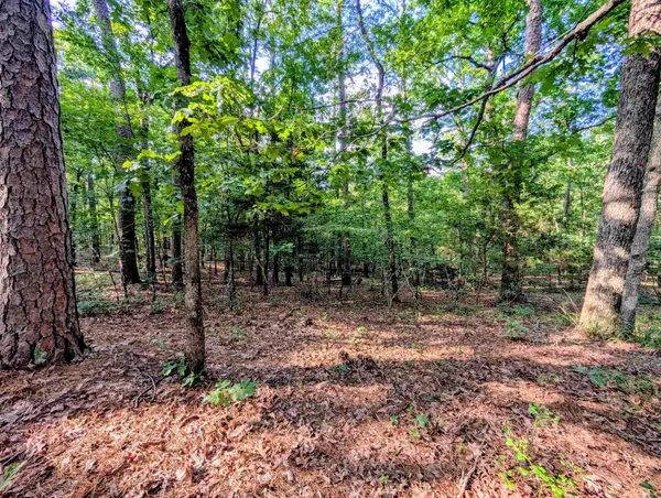 198 Cathedral Pines, Mena, AR 71953