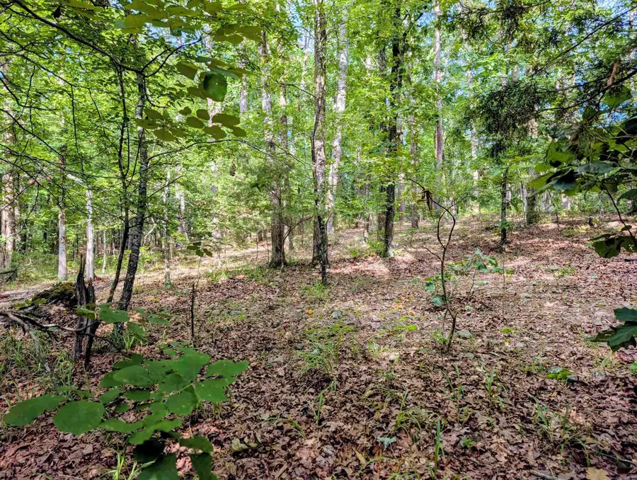 198 Cathedral Pines, Mena, AR 71953 - #2