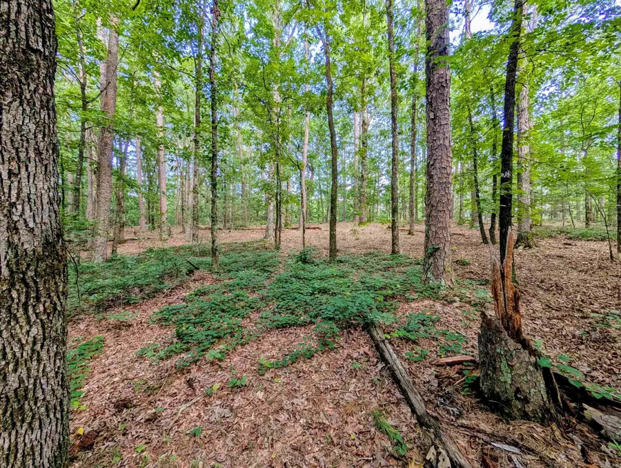 198 Cathedral Pines, Mena, AR 71953 - #3