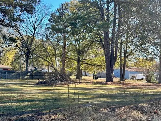 300 Moore Street, Ward, AR 72176 - #3
