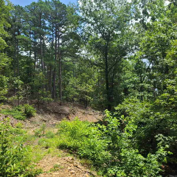 000 Cedar Glade Rd- Lot #wp000, Hot Springs, AR 71913