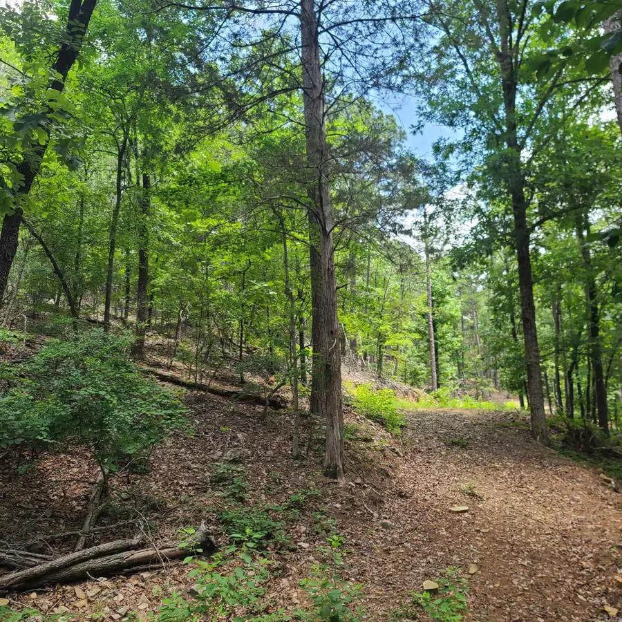 000 Cedar Glade Rd- Lot #wp000, Hot Springs, AR 71913 - #2