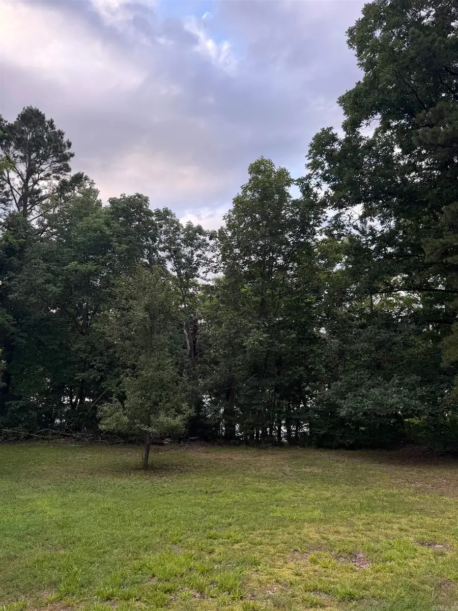 1720 Mountain View Rd Road, Locust Grove, AR 72550 - #2