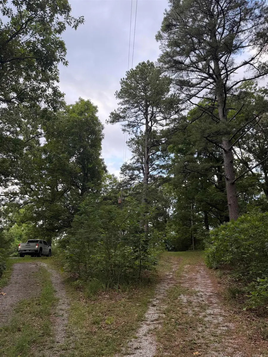 1720 Mountain View Rd Road, Locust Grove, AR 72550 - #3