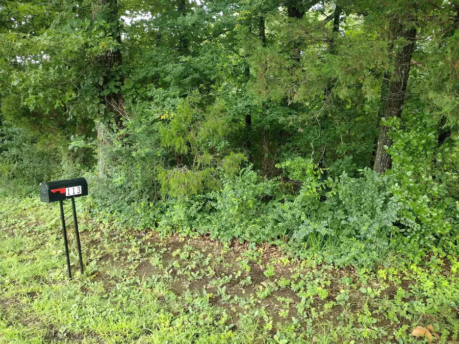 0 Green Meadows Rd, Mountain View, AR 72560 - #2