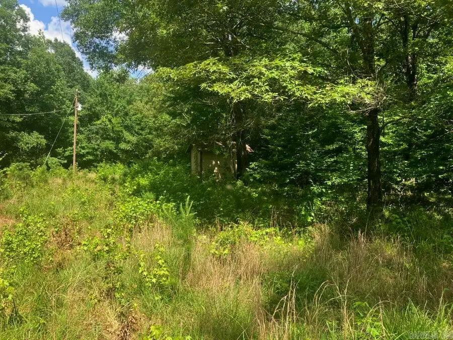 TBD Polk Road 69, Mena, AR 71953 - #2