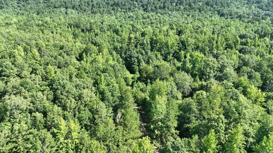 TBD Polk Road 69, Mena, AR 71953 - #2