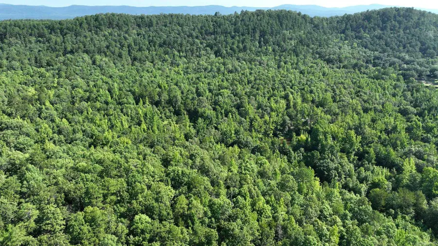 TBD Polk Road 69, Mena, AR 71953 - #3