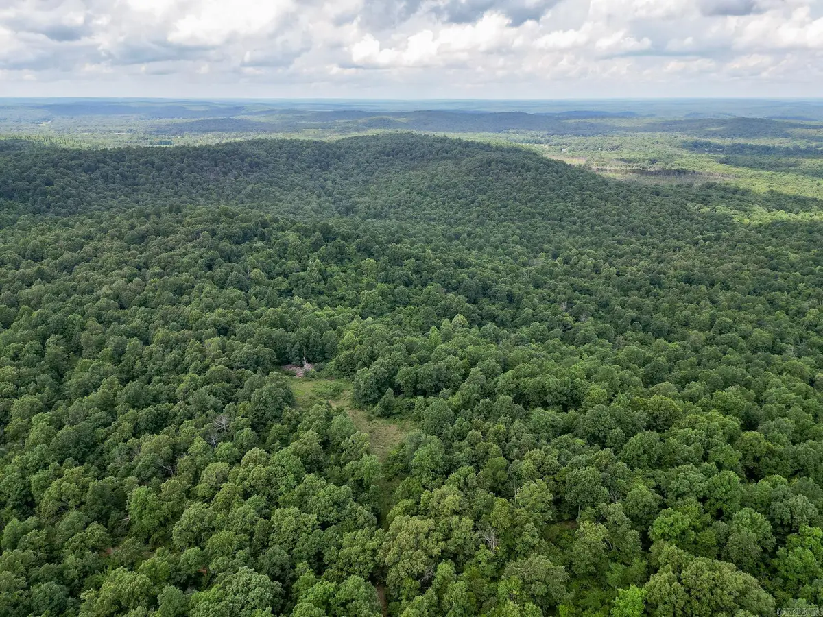 52 Summerfield Creek Crossroad, Williford, AR 72482 - #1