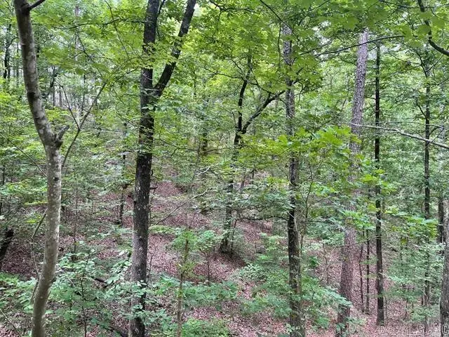 TBD Polk Road 61, Mena, AR 71953 - #2