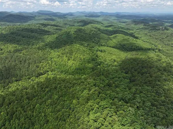 TBD Polk Road 61. Lot #10, Mena, AR 71953