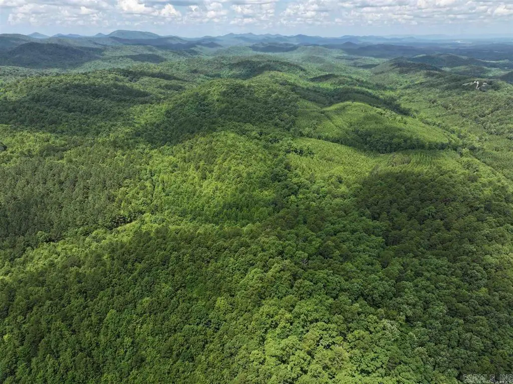 TBD Polk Road 61. Lot #11, Mena, AR 71953 - #1