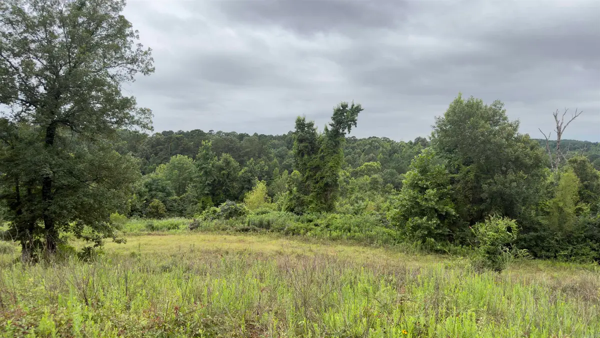 80 Acres Hwy 41, De Queen, AR 71832 - #1