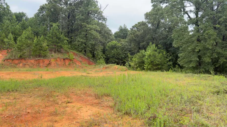 80 Acres Hwy 41, De Queen, AR 71832 - #2