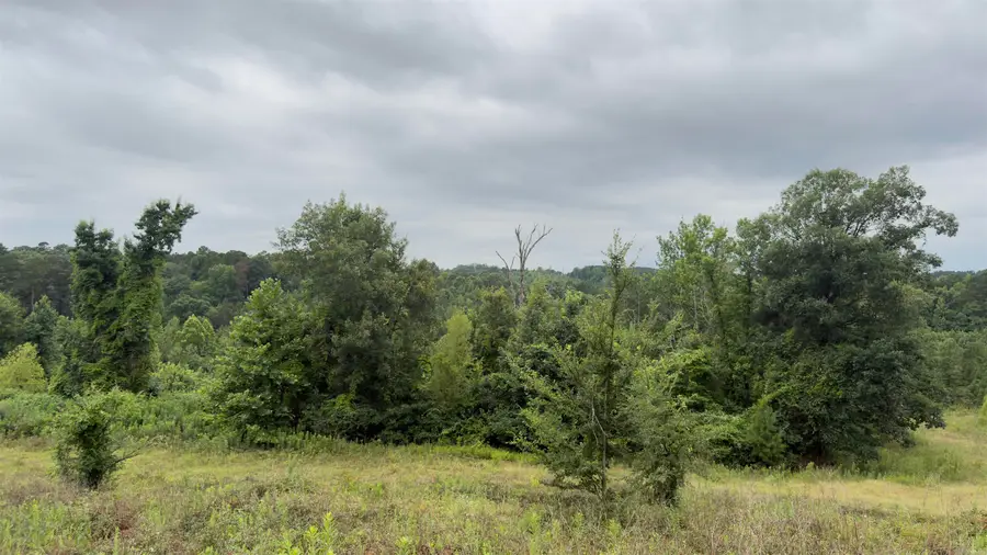 80 Acres Hwy 41, De Queen, AR 71832 - #3