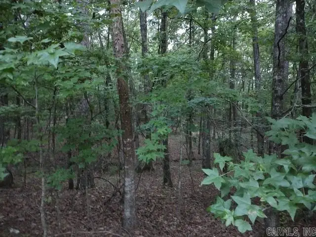 9 Bosque Lane, Hot Springs Village, AR 71909 - #3