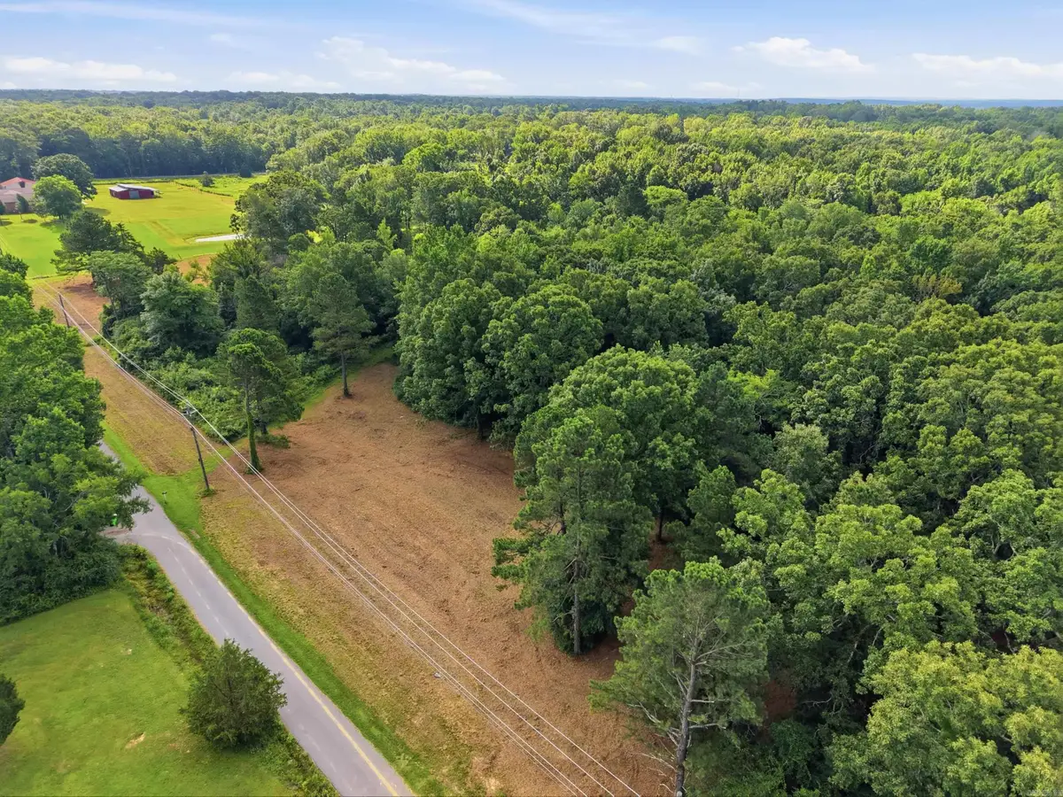 1317 Annie Brown Road, Alexander, AR 72002 - #1