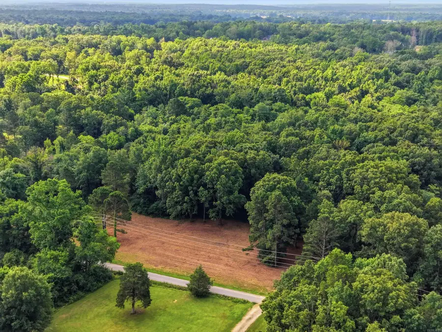1317 Annie Brown Road, Alexander, AR 72002 - #3