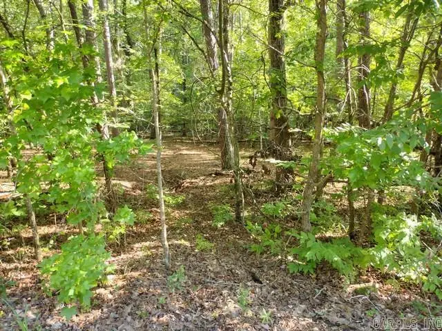 9 Belleza Place, Hot Springs Village, AR 71909 - #2