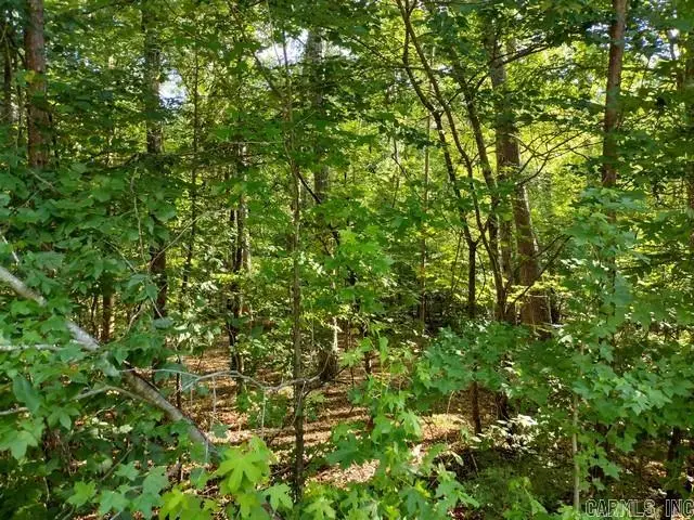 9 Belleza Place, Hot Springs Village, AR 71909 - #3