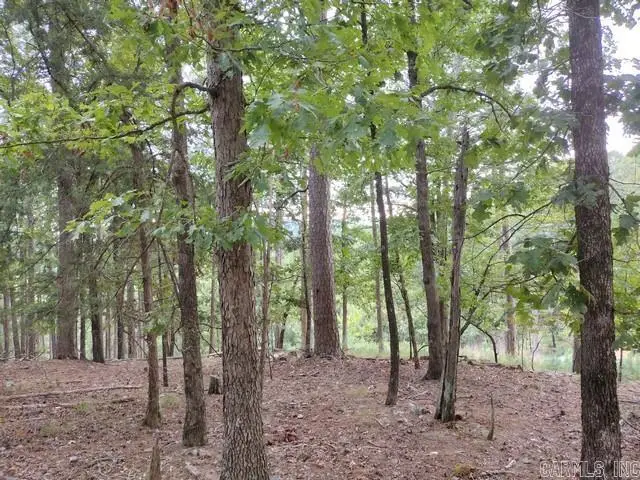 85 Mesero Way, Hot Springs Village, AR 71909 - #1