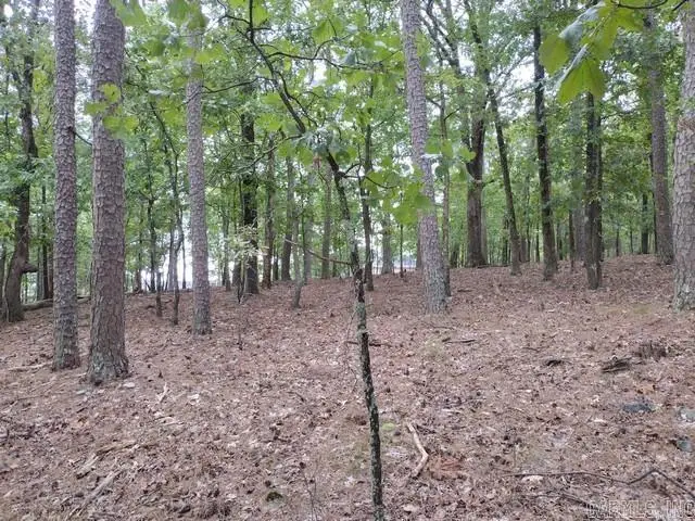 85 Mesero Way, Hot Springs Village, AR 71909 - #2