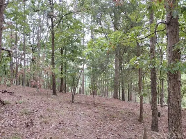 85 Mesero Way, Hot Springs Village, AR 71909 - #3