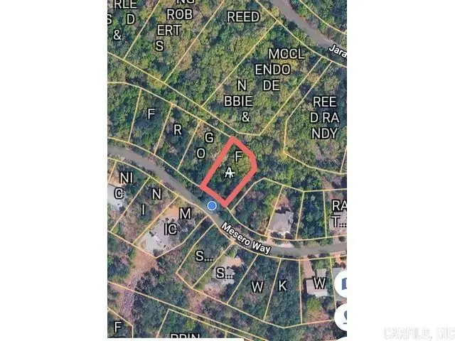 102 Mesero Way, Hot Springs Village, AR 71909 - #2