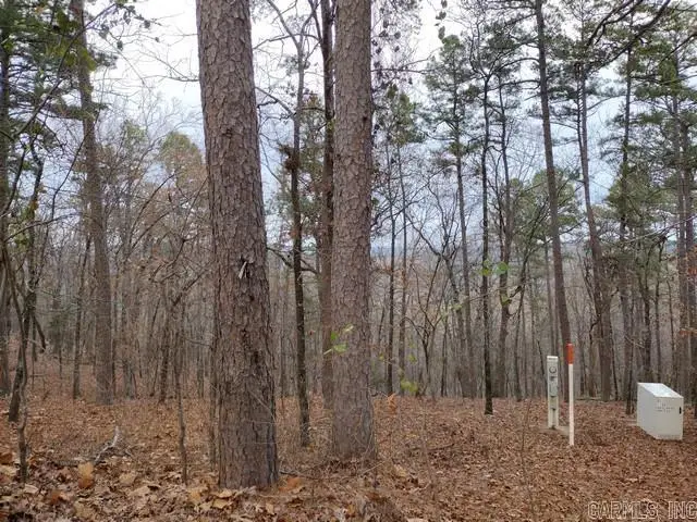 102 Mesero Way, Hot Springs Village, AR 71909 - #3