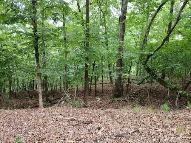 11 Nisa Lane, Hot Springs Village, AR 71909 - #2