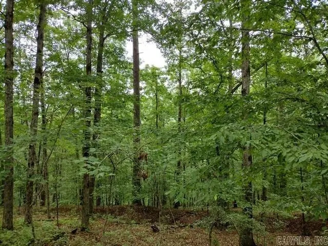 11 Nisa Lane, Hot Springs Village, AR 71909 - #3