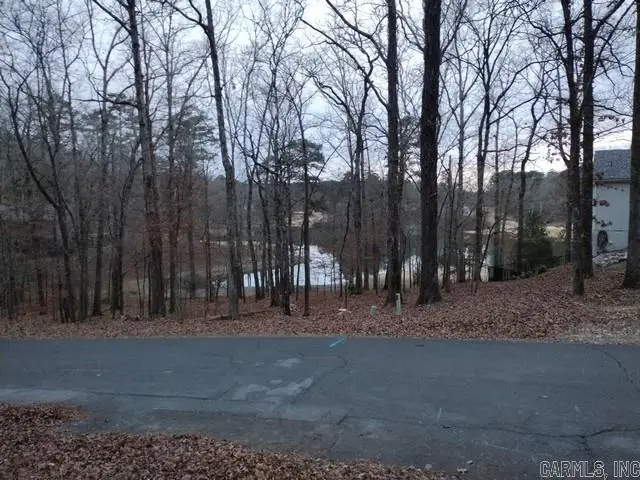 71 Gancho Way, Hot Springs Village, AR 71909 - #3