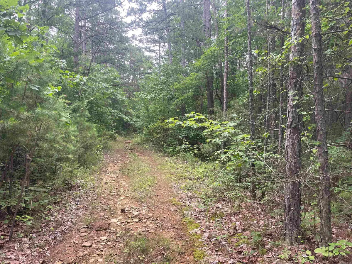 Address Withheld By Seller, Clinton, AR 72031 - #1