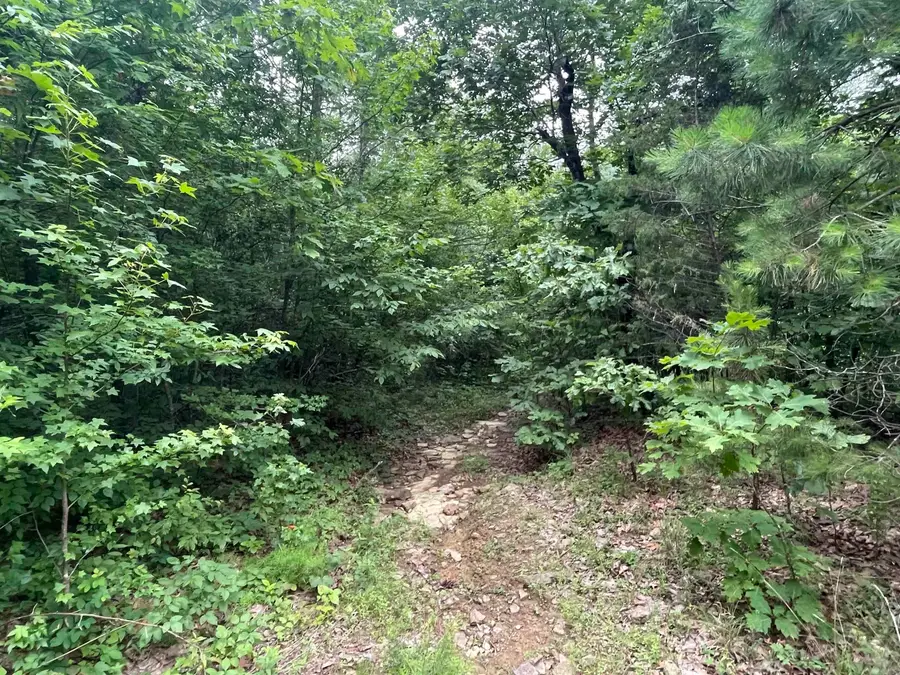 Address Withheld By Seller, Clinton, AR 72031 - #3