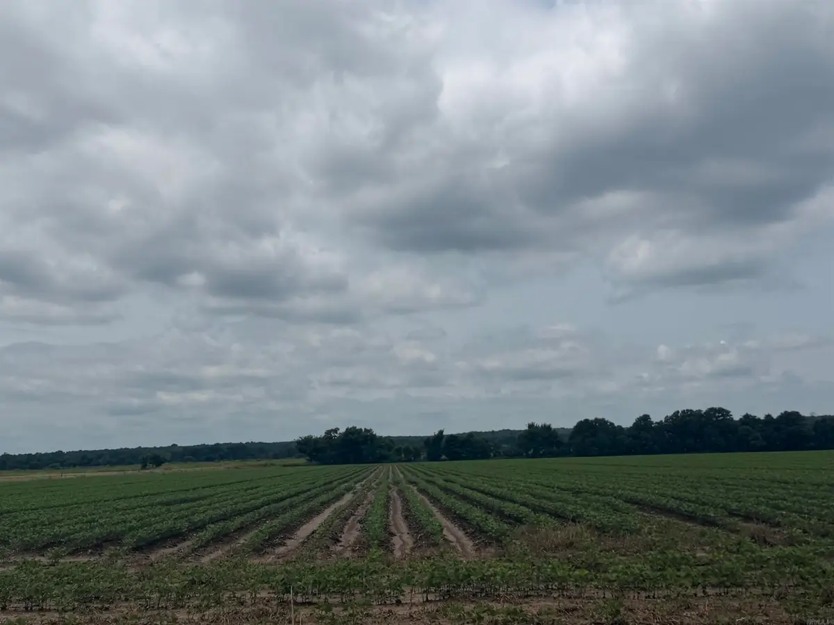77.7 Acres Pineview Rd/benson Ln, Trumann, AR 72472 - #1