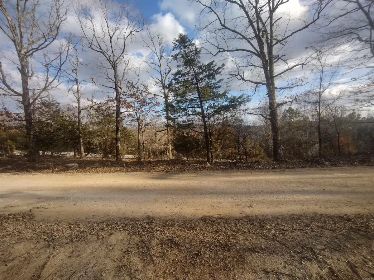 140 Brushy Creek Rd, Mountain View, AR 72560 - #1