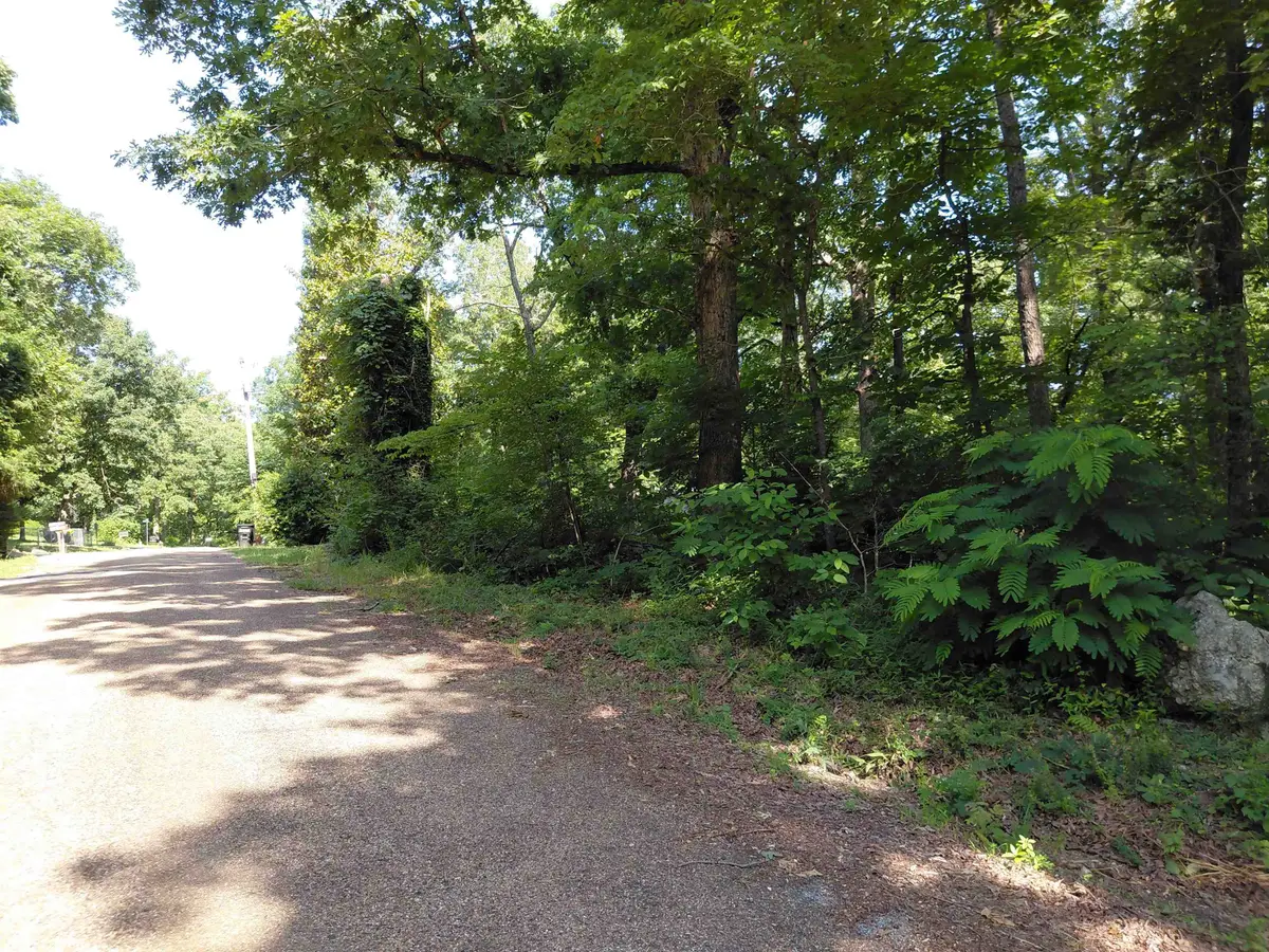 Buckboard Road, Ozark Acres, AR 72482 - #1