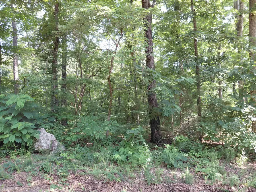 Buckboard Road, Ozark Acres, AR 72482 - #2