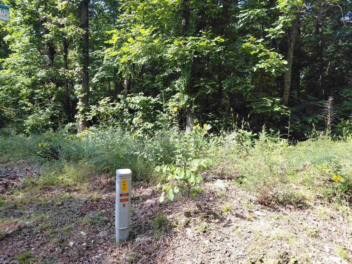 Ponderosa Lane, Ozark Acres, AR 72482 - #1