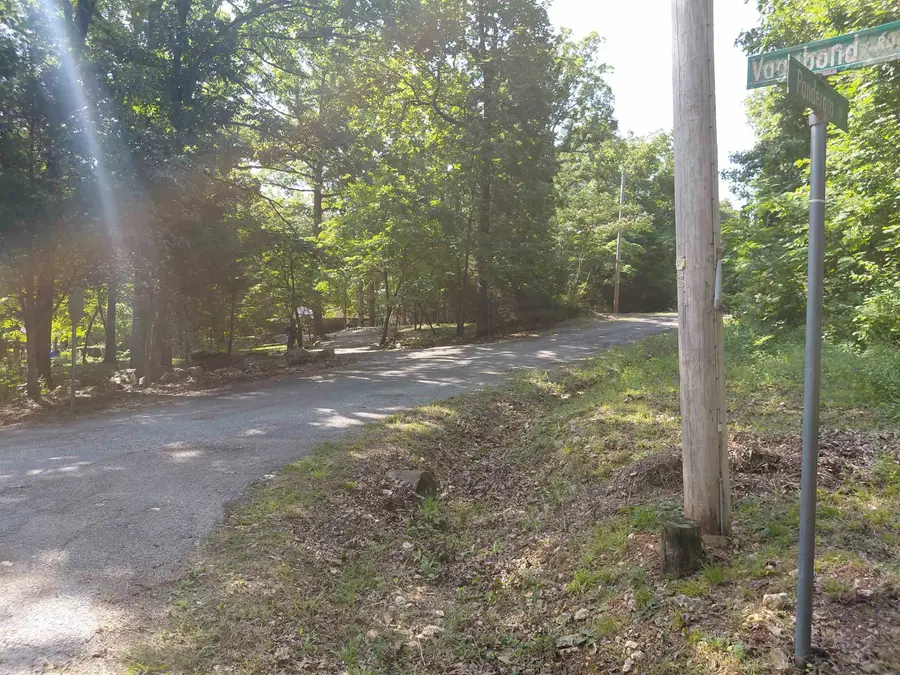Ponderosa Lane, Ozark Acres, AR 72482 - #2