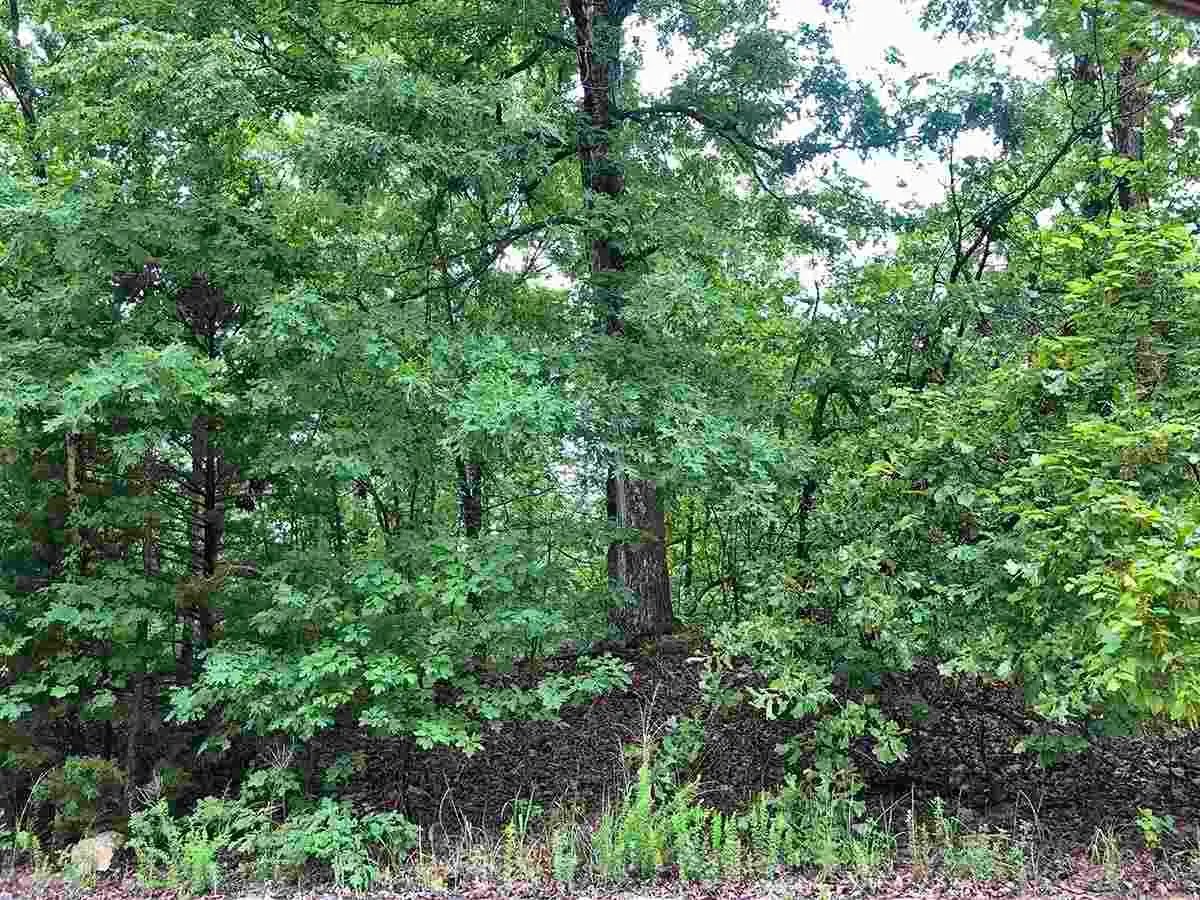 710 Lynwood Avenue, Horseshoe Bend, AR 72512 - #1