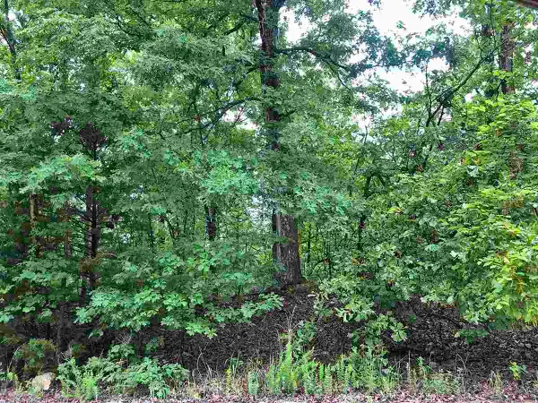 710 Lynwood Avenue, Horseshoe Bend, AR 72512
