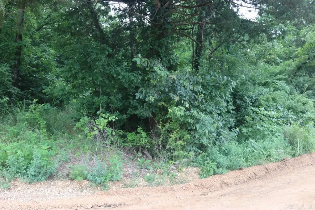 00 Wickham Road, Mountain View, AR 72560 - #1